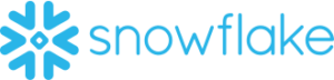 Snowflake logo representing cloud data infrastructure and enterprise software