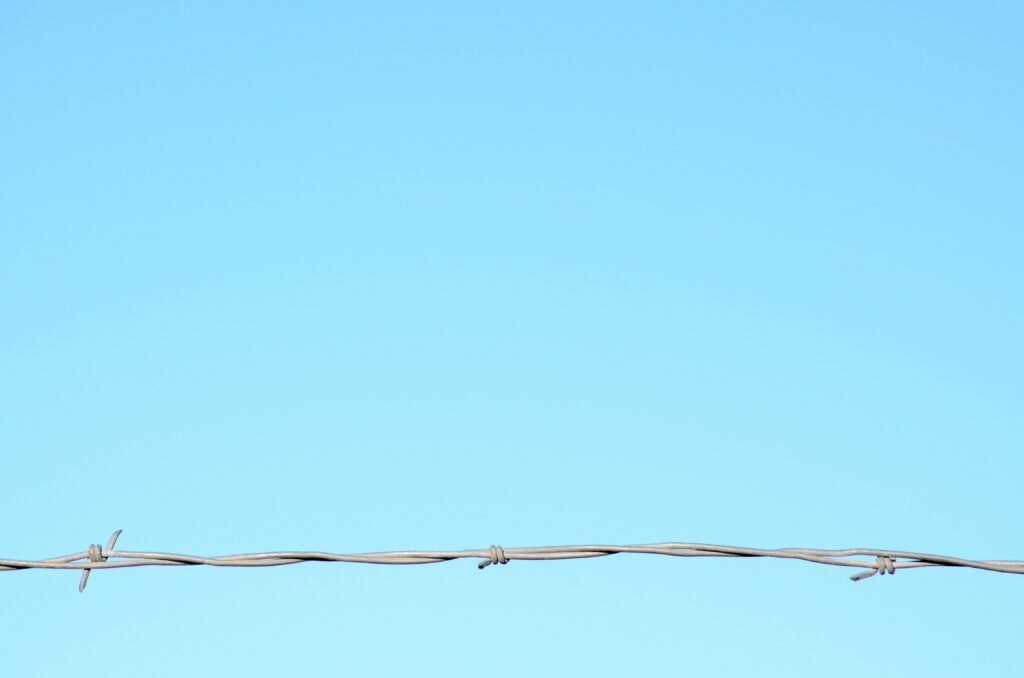 Barbed wire against a clear sky representing federal fraud enforcement