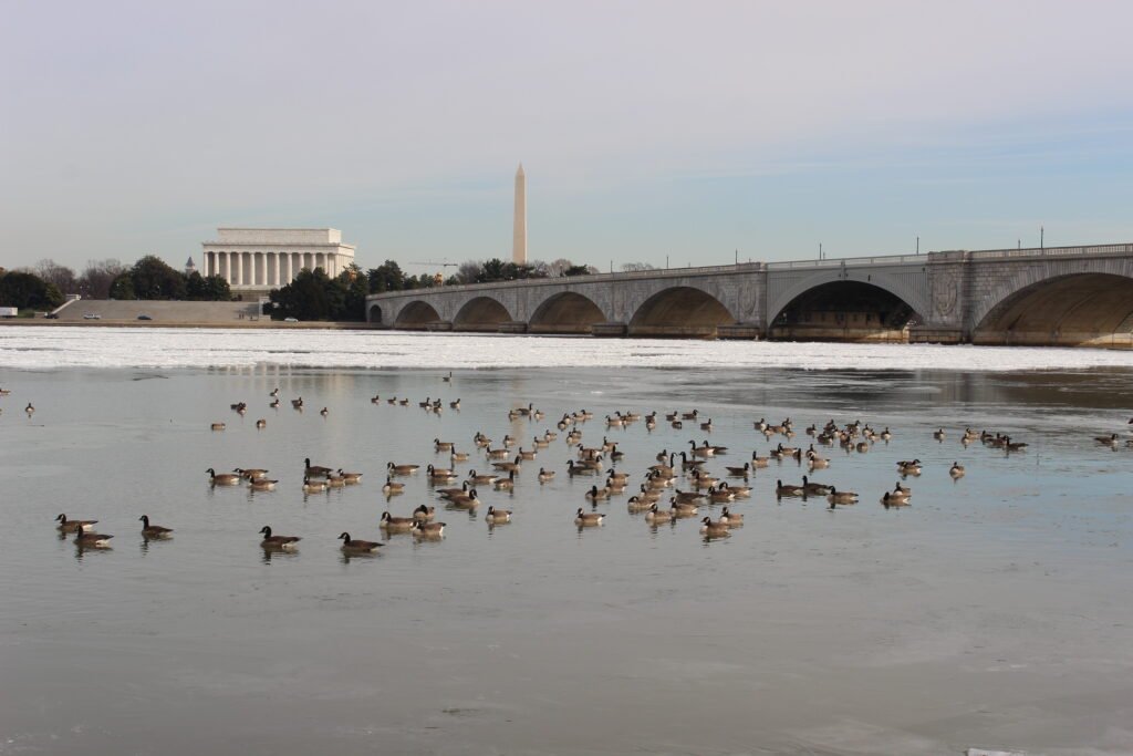 Lincoln Memorial representing civic ideals and public trust