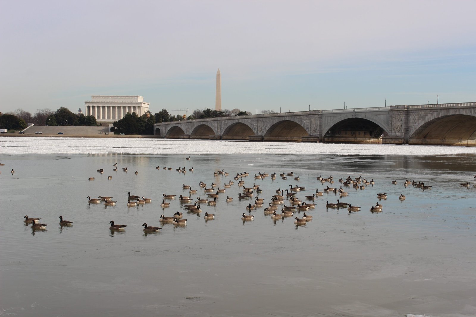 Lincoln Memorial representing civic ideals and public trust